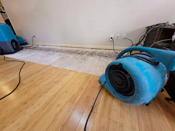 Professional Ceiling Water Damage Repair technician working in Sharon, MA